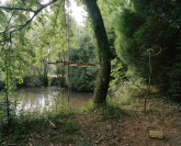 Vignette 1 - Titre : L'étang de l'isolette, ZAD de Notre-Dame-des-Landes, France